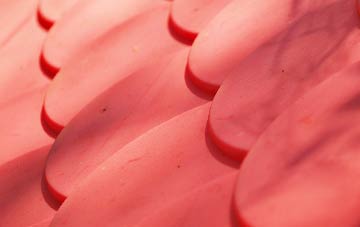 Dell Quay plastic roof costs