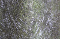 Dell Quay fibreglass roof work